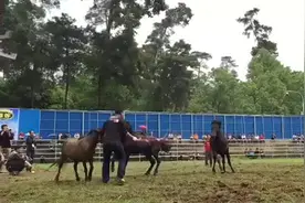 融水斗马场面火爆 最初的起因竟是图片