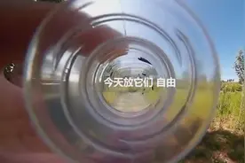 生活小窍门：空瓶捕获蚊子，夏天再也不用担心啦！图片