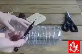 自制捕鼠神器，简单有效图片