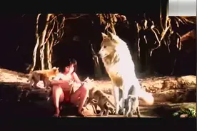 《奇幻森林》带领略人与群兽的霸气场面，不容错过！图片