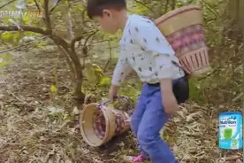猕猴桃事件后续，安吉真是好哥哥，暖心属性爆棚！视频封面