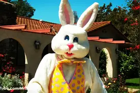 米国复活节彩蛋大冒险图片