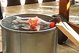 用铁桶和可乐瓶做的捕鼠器，老鼠终于掉进去了，好温柔的陷阱！图片