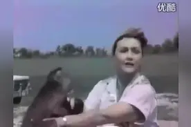 太经典了！不开心的时候就拿出来看看图片