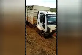 大货车深陷泥地走不动，司机不信邪了，看看是如何自救的吧！图片