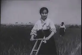 无论我怎么听，这两首歌也是一个曲子？图片