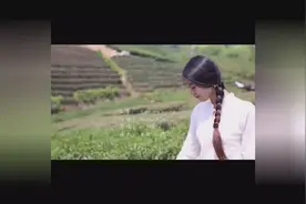 中国风！古筝版 See You Again️图片