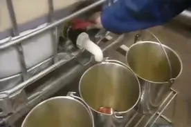 实拍猪肉加工制造全过程，这些你都看过吗视频封面