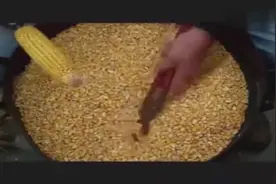 剥玉米利器，有了这个几秒钟一根，农民伯伯有福了图片