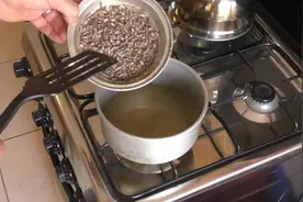 狗身上挤了一盆的寄生虫，医生放入油锅后悲剧了视频封面