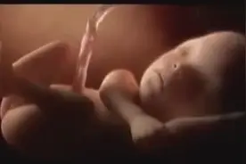 想知道母亲怀孕时萌娃在肚子都做什么吗？看看萌娃都经历过什么！图片
