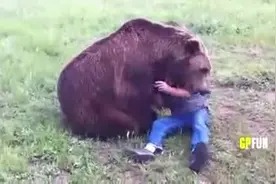 只有在战斗民族俄罗斯，你才能看到这样奇葩的熊图片