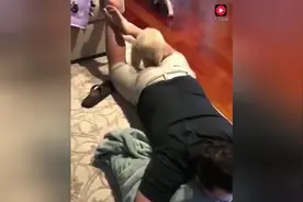 主人放了个屁，小狗狗闻到之后，居然对主人的屁股做这样的事