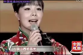 王二妮《人说山西好风光》第一次就上瘾了！图片