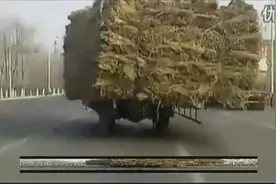 奇葩三轮车跟警车飙车 最后警车认输了！图片