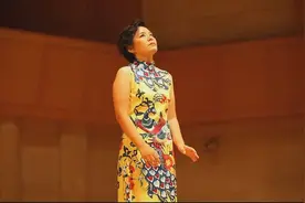 龚琳娜含泪演唱《走西口》图片