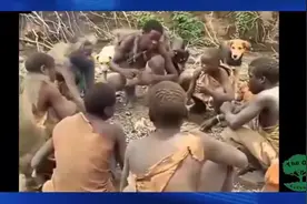 非洲原始部落狩猎小猴子，然后剥皮烤着吃，生存真不容易图片