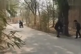 街头恶搞大哥别杀我，吓坏路人！看完快笑岔气了。图片