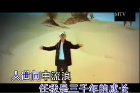 经典金曲刀郎之《喀什葛尔的胡杨》图片
