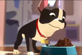 ​2015届奥斯卡最佳动画短片——狗狗的盛宴图片