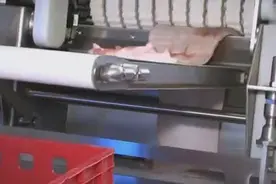 剥皮机，剥的可不是水果皮哦！图片