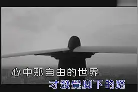 心灵的向往是永远的明灯，最美的花！特此献上许巍《蓝莲花》图片