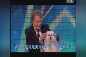 狗狗可以说话？我已经惊呆了，观众都看哭了！人类的好朋友啊！