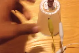 网友用一次性水杯做了个扬声器，插入手机能播放音乐，太厉害了！图片