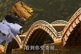 《情非得已》里面的歌词有我流下的眼泪！视频封面