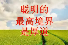 聪明的最高境界是厚道视频封面