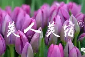 在这最美的花园民宿里，住着一位来自花花世界的塔莎公主图片
