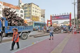 小叶紫檀从赌料到开料，各个现场在此聚会！图片
