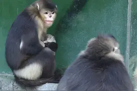 为爱守护 为母子站岗图片