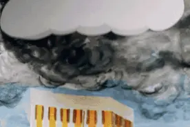 萌宠萌图第91波：Watch Out !！前方有不明生物出现图片