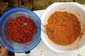 钓鱼技巧：超详细的开饵技巧！图片