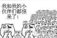 震惊！南宁市唯一的活羊批发交易市场竟无营业执照？图片