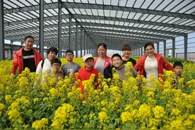 天津北辰有个后丁庄 温泉露营休闲采摘农家饭真真是齐活儿了图片