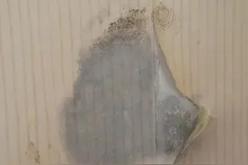 入住新房发现墙面起泡？工人师傅一招就解决！超实用！图片