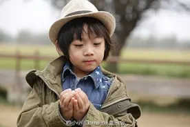 Kimi大变样？grace说法语？《爸爸去哪儿》的萌宝在忙啥图片