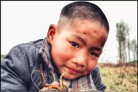 如果你是河南农村娃，摸鱼捉虾不信你没经历过图片