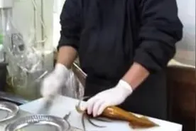 奇闻！鱿鱼被残忍切成两半，头竟然站起来往身体所在的位置移动！图片