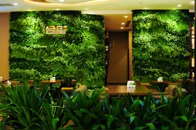 藏在商场里的秘密花园，合玺花园茶餐厅图片