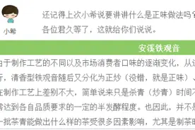 茶理王|安溪铁观音的正消拖，你分得清吗？图片