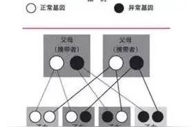 双眼皮、大眼睛、长睫毛，想要孩子遗传得好，原来明星都在这样做图片