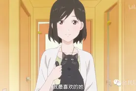她和她的猫图片