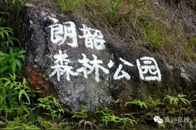 高州人很少知道有个大坡朗韶森林公园！美翻了！图片