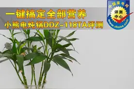 一键搞定所有营养 小熊电炖锅DDZ-118TA评测图片