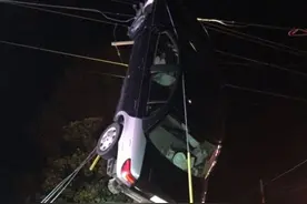 匪夷所思 女子驾车爬上电线杆图片