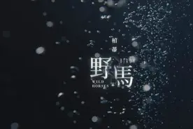 全英力推新人柏蒂上演唯美人鱼恋新歌《Wild Horses》图片
