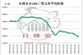临储取消，玉米价格下跌何时是个头！听说还有不给补贴的，真假？图片